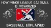How Minor League Baseball Is Organized Baseball Explained